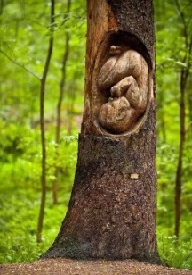 womb art in tree sculptor